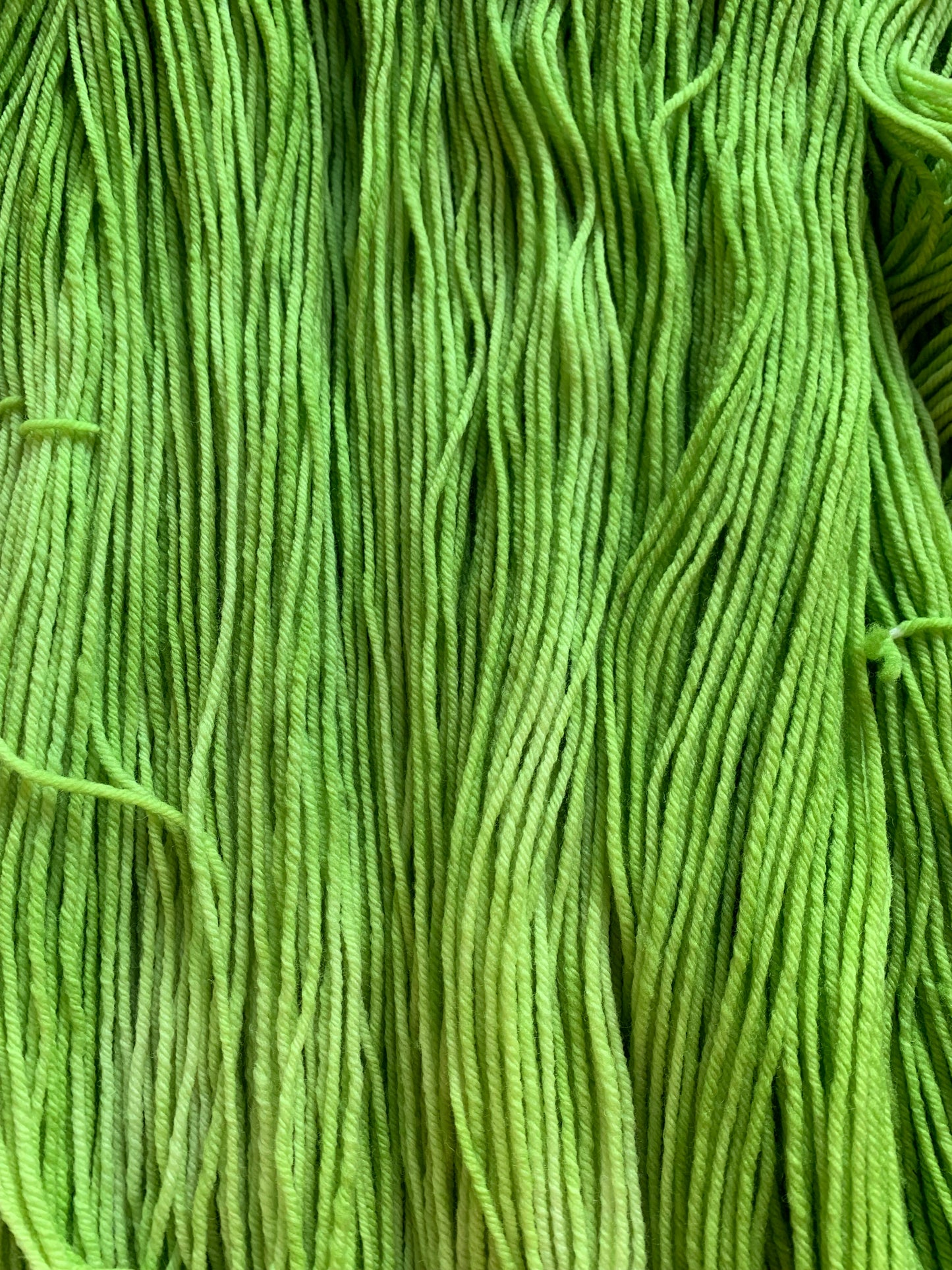 merino worsted