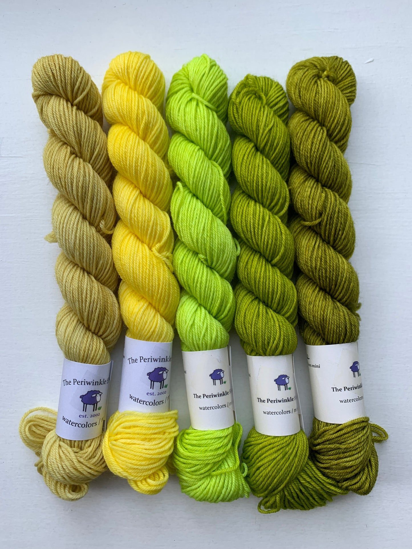 set of 5 - watercolors mini skeins