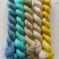 Wink mini skein sets