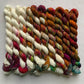 Effortless Gradient set of 10 micro skeins