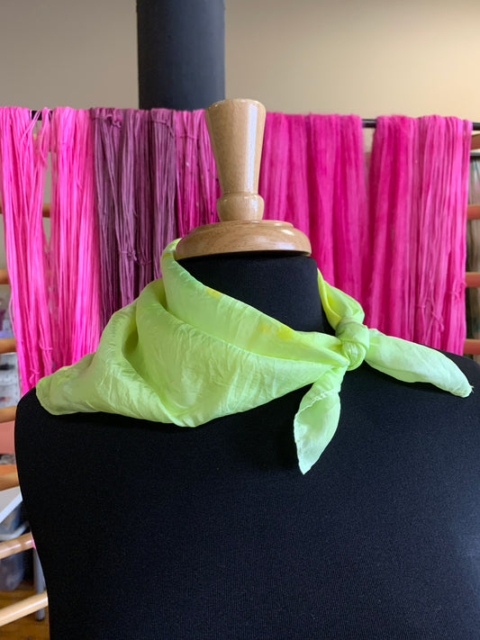 silk scarf / bandanna / neckerchief